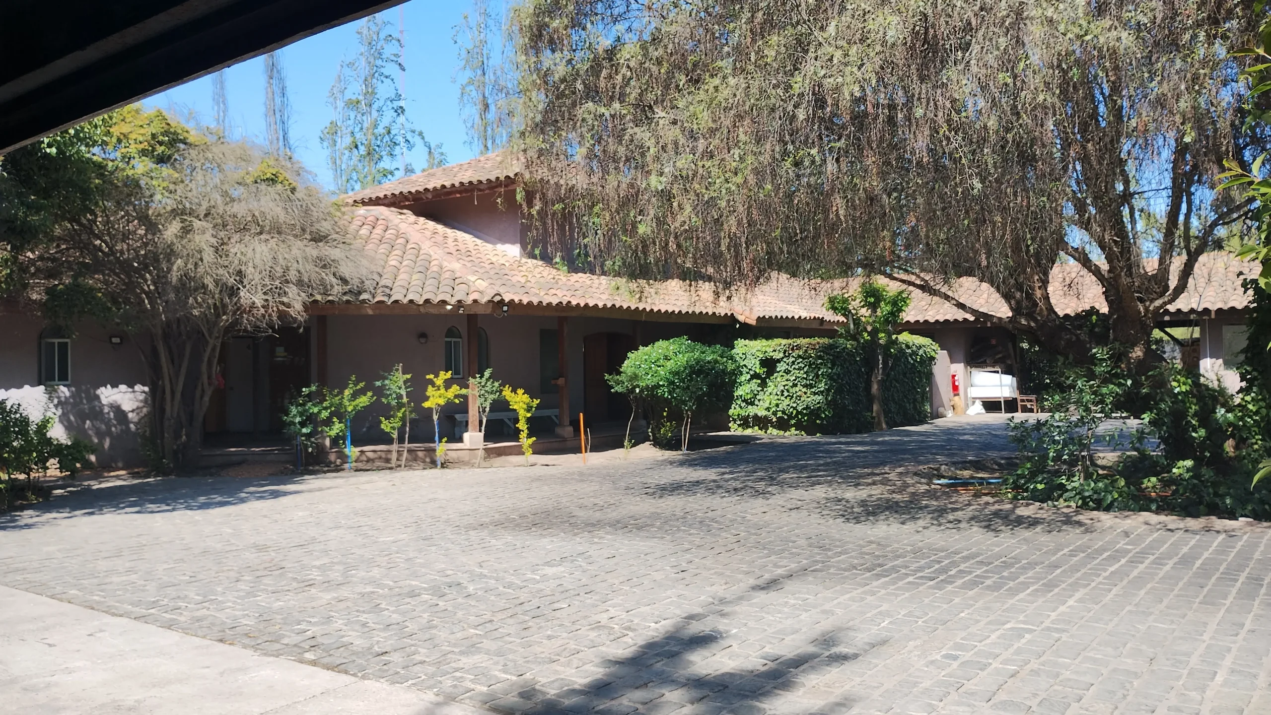 IMG_20231026_155048448